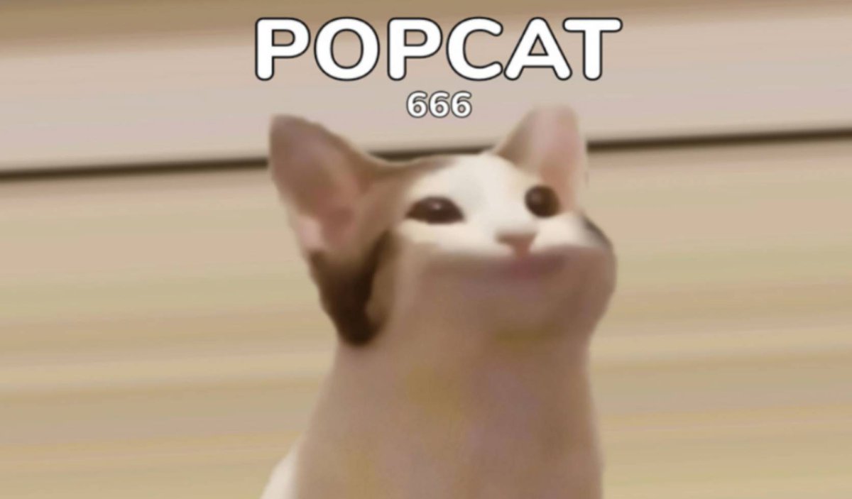 TengSway's tweet photo. Hey POPcat!! @solomeowl444 https://t.co/6go2mzrxvp