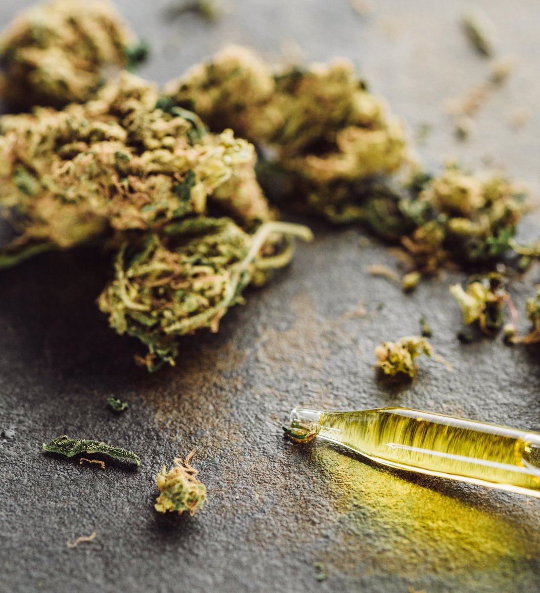 pure_cabo's tweet photo. Natural answers for your individual needs...coming soon. #CaboWeed https://t.co/QbpHu8S5J7