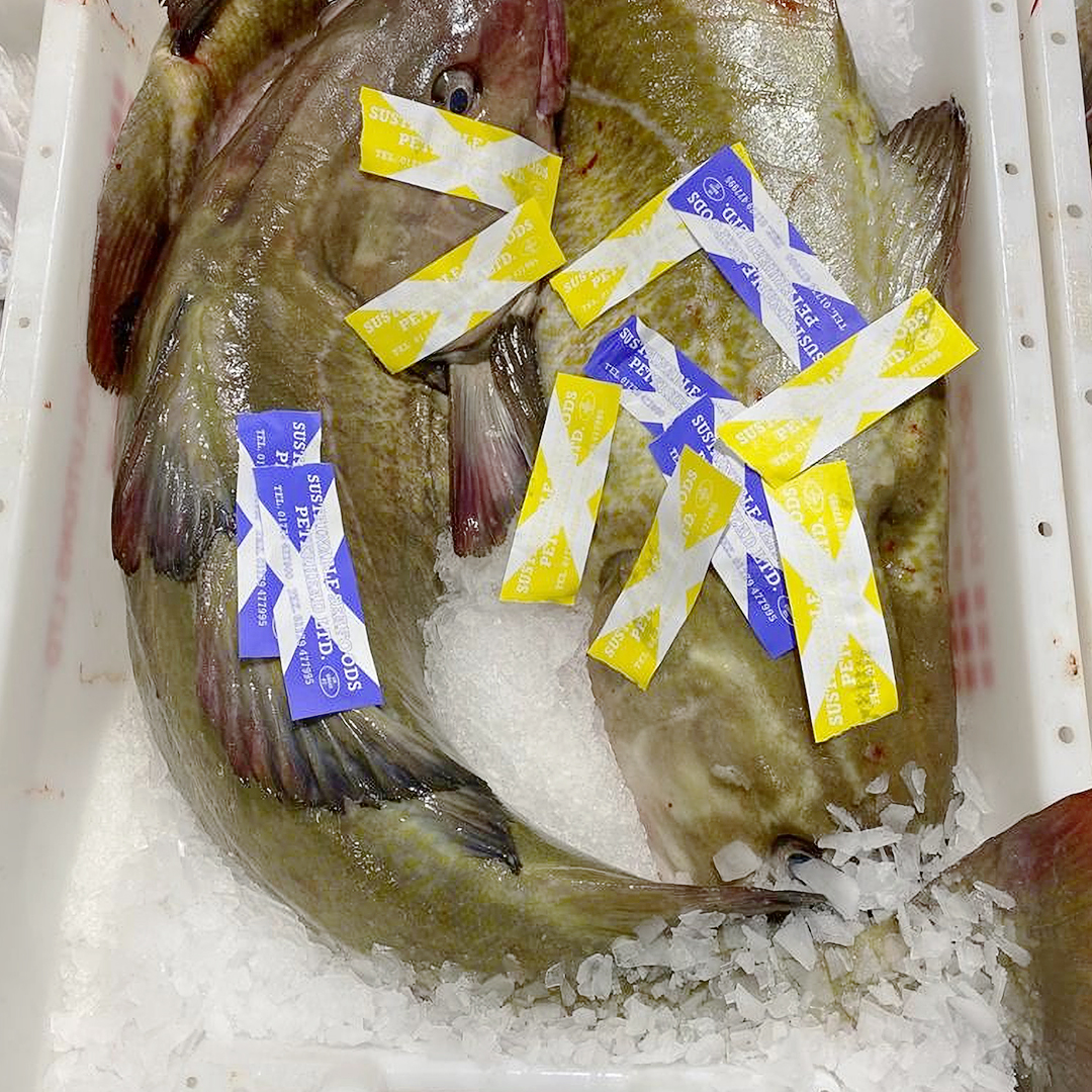 richseafoods's tweet photo. Make a splash on your menu with our fresh cod.π§
Our cod is caught in Scottish waters and prepared by our skilled team to deliver the finest quality produce to your door.
Order yours today: https://t.co/0k3olKeFrM
#richardsonsseafoods #seafood #fishingindustry #freshcod https://t.co/1GVFf9GuTc