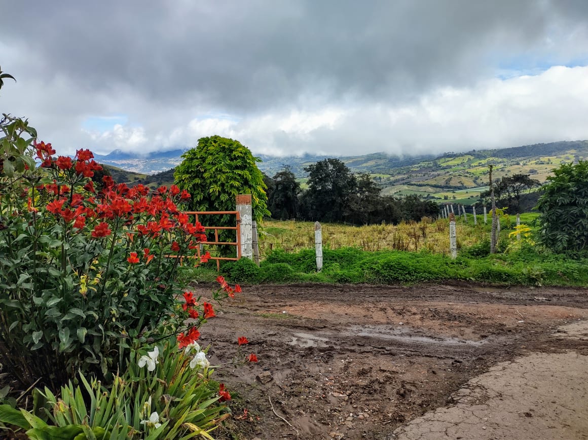 SubRedSur's tweet photo. #FelizMartes🌄🏞️
En cada una de estas localidades de la zonas rurales del sur de Bogotá hacen presencia nuestros equipos asistenciales con el fin de brindar la mejor atención en salud a nuestra población campesina.
#Sumapaz #Usme #CiudadBolívar 
#LePonemosElCorazón💕 https://t.co/HuwUFbCpwT