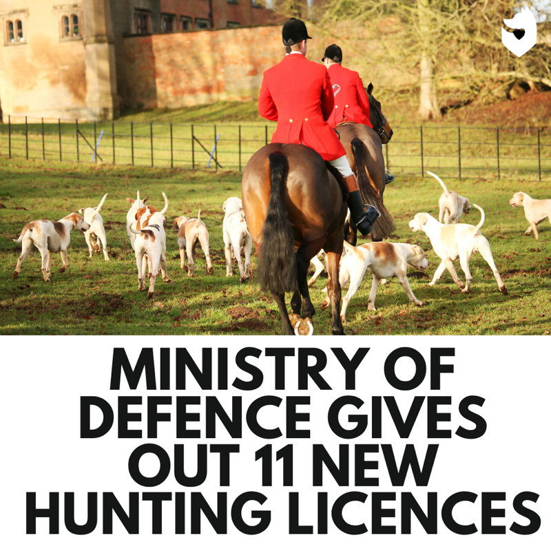 RT if you agree that the Ministry of Defence should immediately revoke the 11 licences it has given out to hunts for the 2021/22 season. SIGN the petition to end hunting licences given out by major landowners - keeptheban.uk/petition