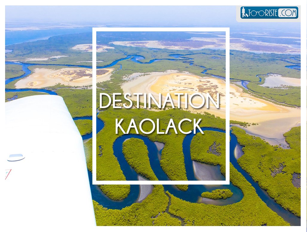 madeinkaolack's tweet photo. La bétonisation écrasante et frénétique de notre ville n’a que trop duré.Nous devons envisager un futur plus vert pr #Kaolack.Notre projet de ville humaine et écologique propose un moratoire sur les constructions de logements collectifs,pour un urbanisme raisonné.#DevelopKaolack https://t.co/CCcoIg1swL