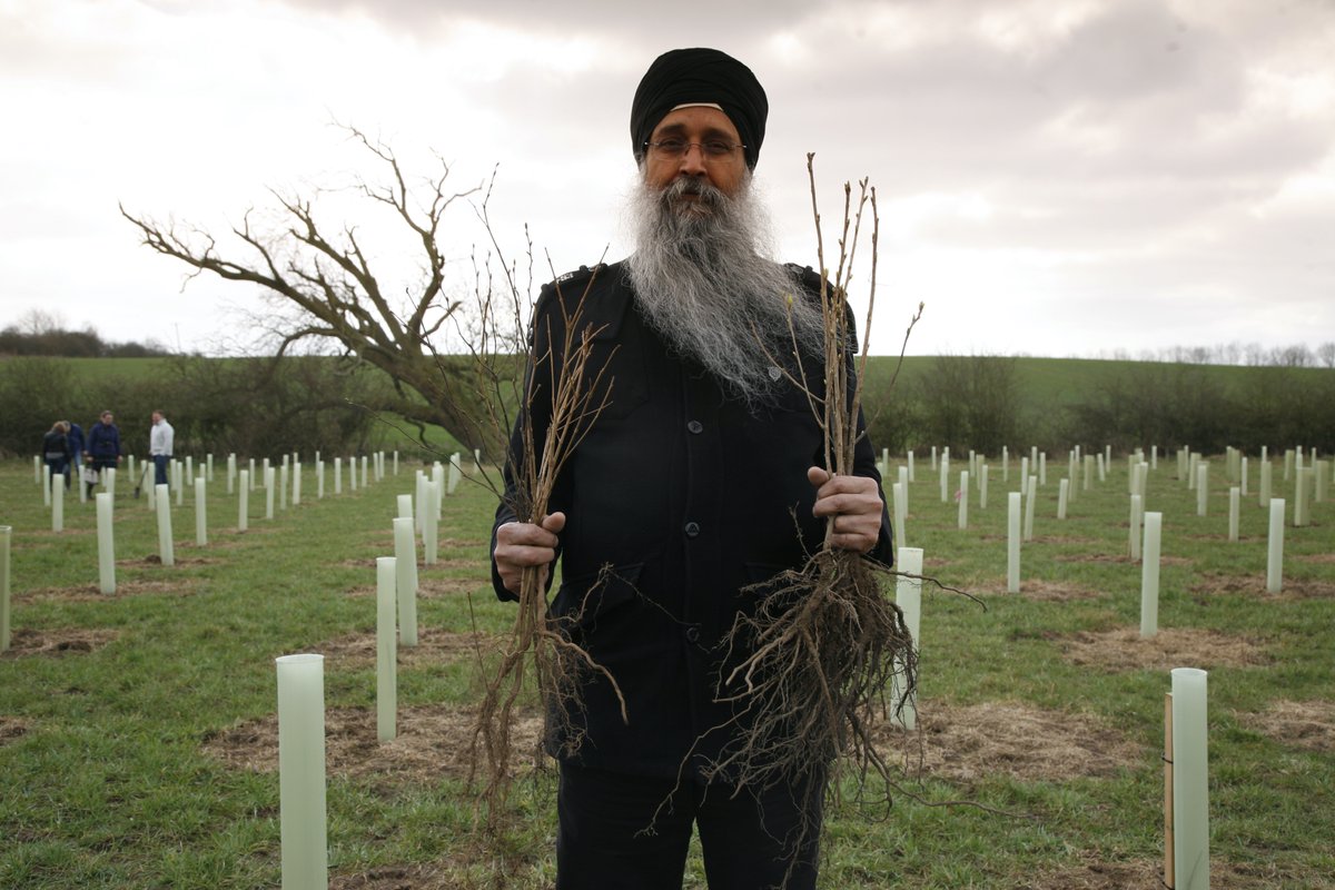 carolrjay's tweet photo. I'm immensely proud to work for the National Forest in the UK Midlands. 9 million trees planted over the last 30 years, where over 200,000 people live. #COP26 #trees #treestransform https://t.co/12rrKVhRGv