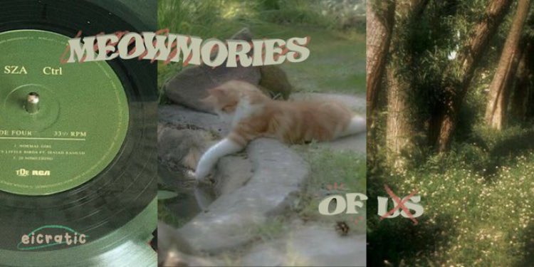 eicratic's tweet photo. nomin lokal au

; kucing
written by e https://t.co/LDAfK61z0e