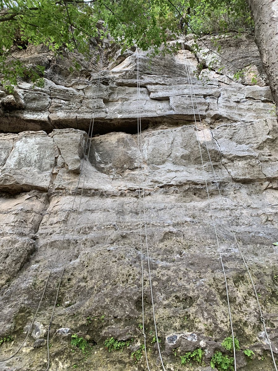 tierraonFOX7's tweet photo. Live on the #greenbelt with @Explore_Austin, a local #nonprofit that helps youth in our area get access to outdoor activities. Tune into Good Day Austin for details on becoming an #exploreaustin mentor! @fox7austin https://t.co/iGMyojITPa