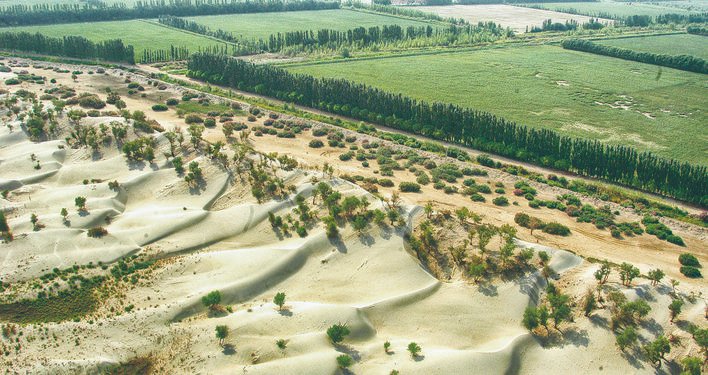 It was mainly Gobi dessert in Aksu.
Land desertification & salinization was a major problem.
Yet, in 30 yrs, locals transformed it. 
They built 768.6 million m²  forest that includes shelterbelts, forest of economic values, like apples.
#AfforestationInChina
#COP26