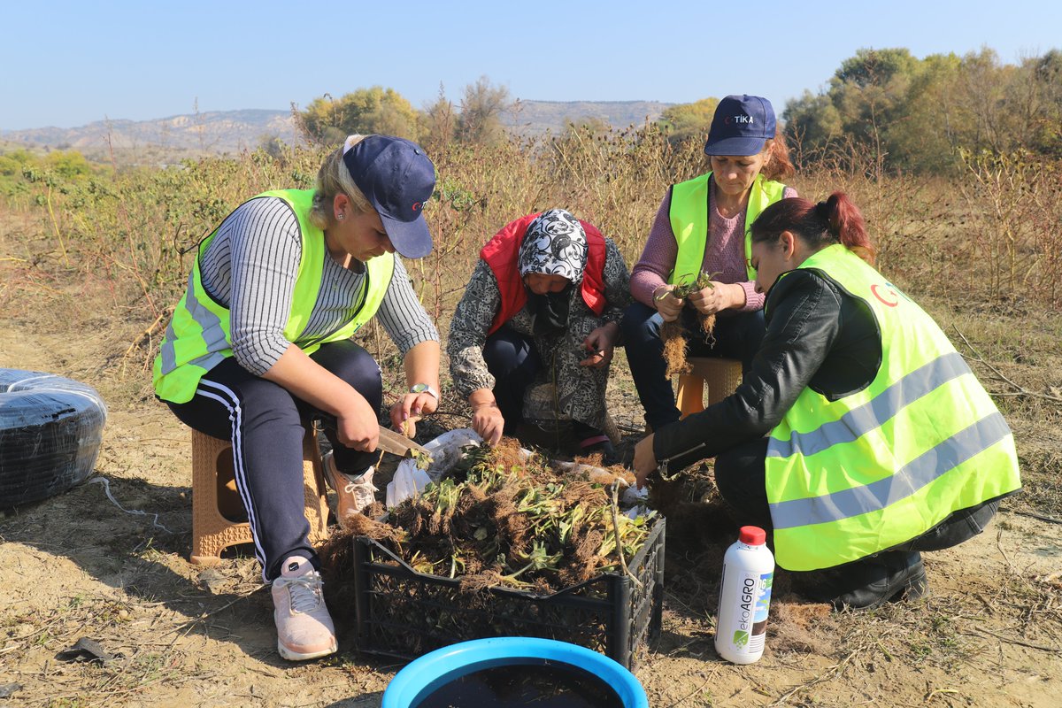 TİKA'dan #KuzeyMakedonya'da 100.000 çilek fidesi ve tarım ekipmanı desteği🇲🇰🍓🚜

👩‍🌾 👨‍🌾 6 bölgede uygulanan proje ile kırsal kesimde yaşayan aileler için alternatif geçim kaynakları oluşturulacak 

🔗tika.gov.tr/tr/haber/tika%…