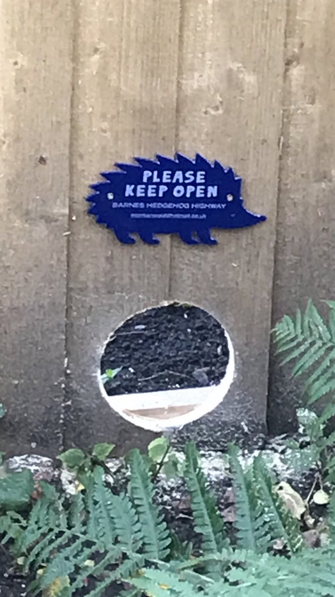 Thank you to Lord Goldsmith for helping and supporting Barnes hedgehogs 🦔 <a href="/BarnesHedgehogs/">Barnes Hedgehogs</a>  #hedgehog #wild #wildearth #nature #environment #barnes #chiswick #richmond