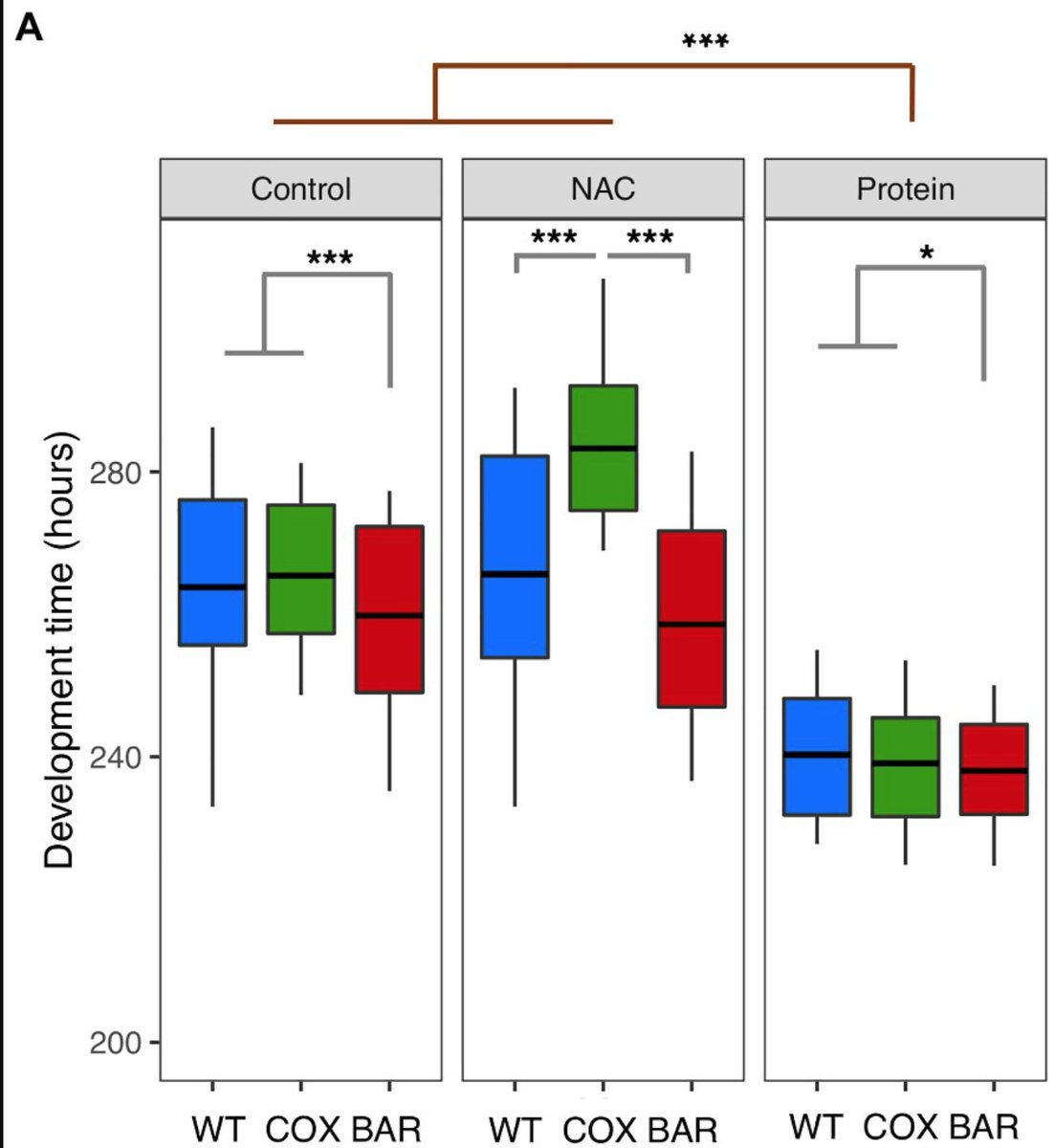 Tad late to the party but excited to share the first paper with my name on! 

 #Mitonuclear work with <a href="/flocamus/">Florencia Camus</a> <a href="/Enrique39212520/">Enrique Rodríguez</a> and Nick Lane - Divergent responses to mild stress in developing #Dros with small mitonuclear incompatibilities:  
doi.org/10.3389/fgene.…