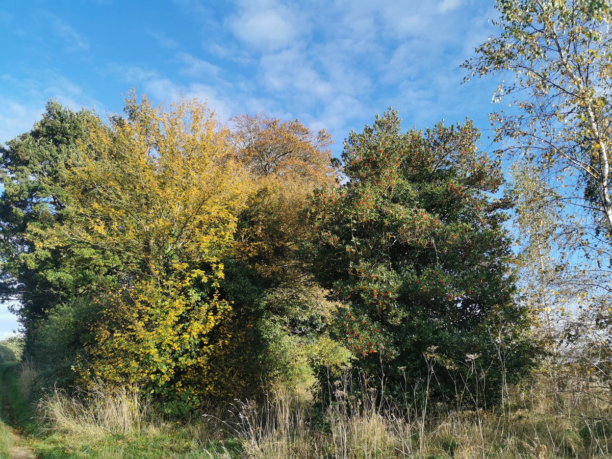 marksayers tweet media