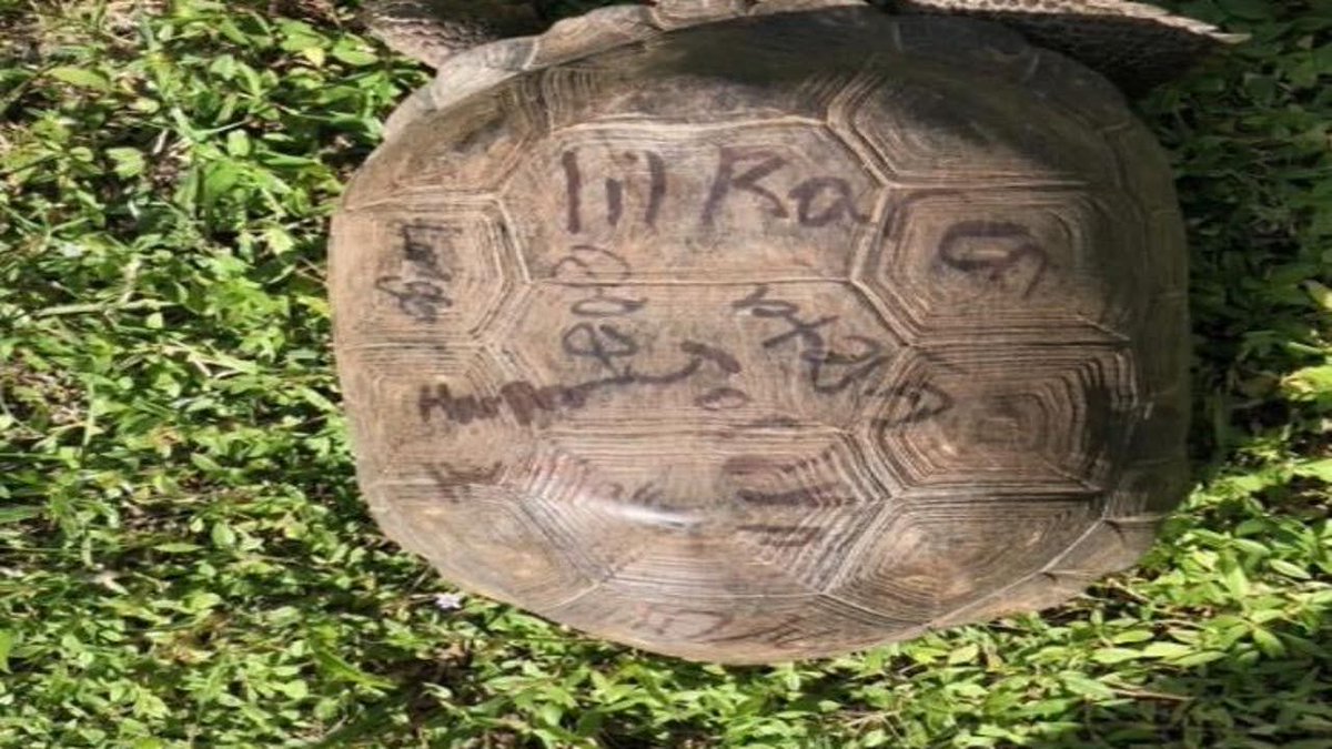 Be kind to our animal friends!

buff.ly/3mjGQGV