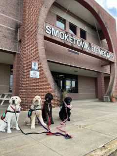 Some of the UDS dogs who visited last week. They were waiting patiently to get started. :-).