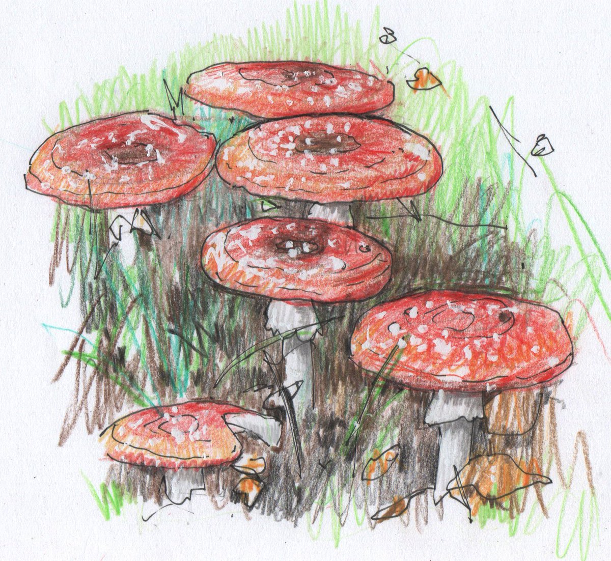 Rob Turner tweet media