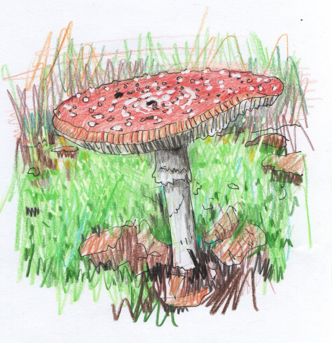 Rob Turner tweet media