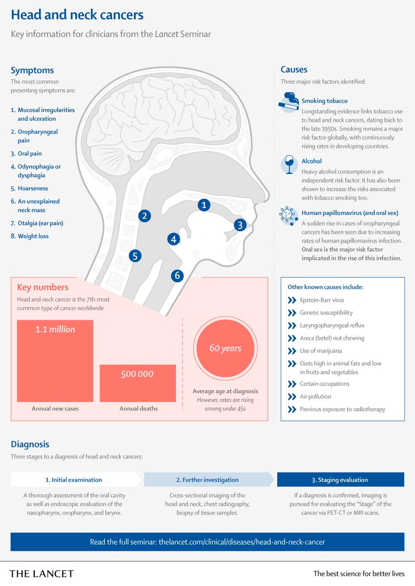 TheLancet's tweet photo. Head and neck cancer refers to a diverse group of tumours affecting the upper aerodigestive tract. Although many different histologies exist, the most common is squamous cell carcinoma.

This Seminar outlines key information for clinicians: https://t.co/ly0qDMpgRb 1/2 https://t.co/DZFbXimM6s