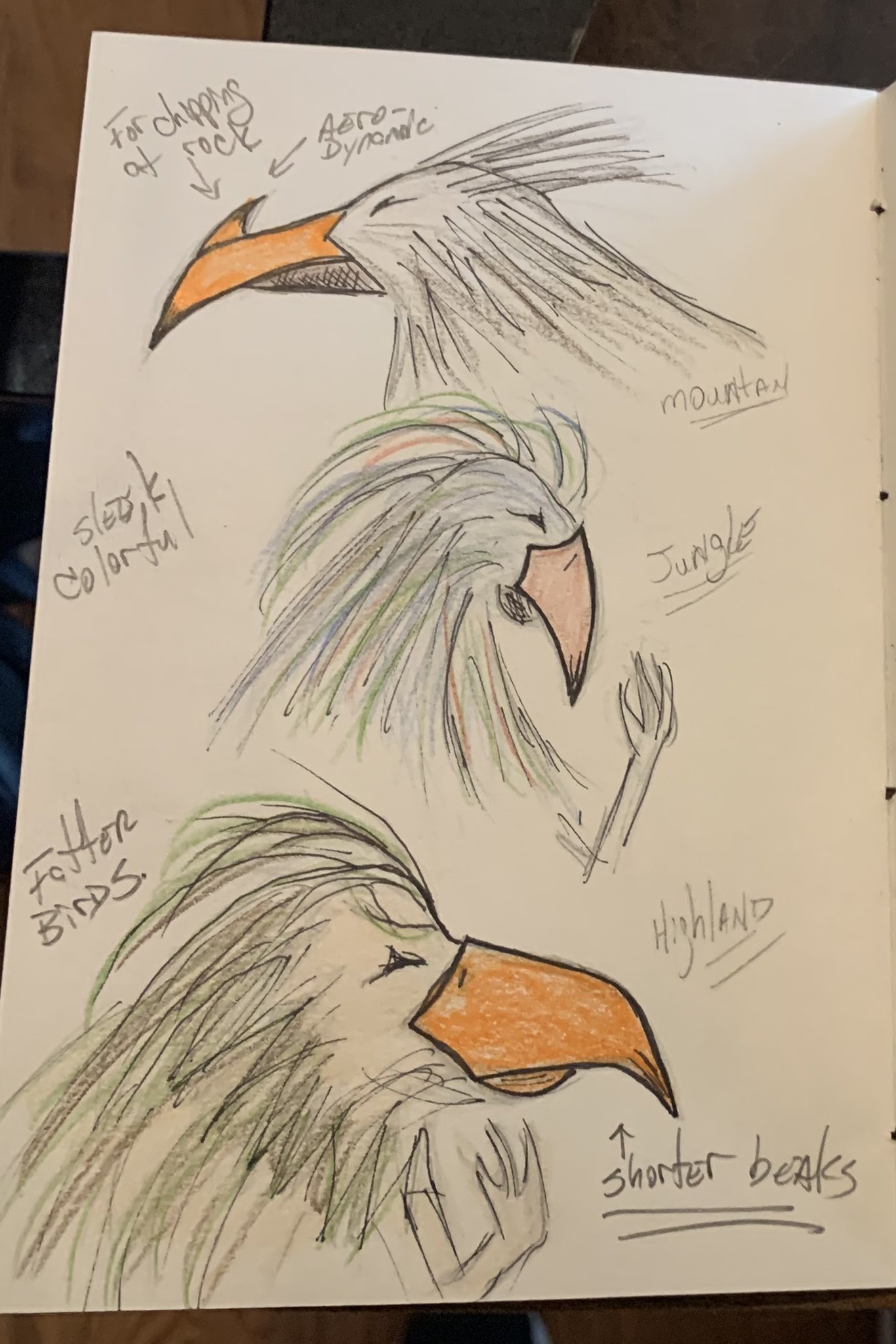 Tom Rolston (@TomRolston3) / Twitter