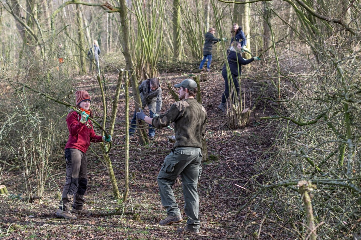 Op 5 en 6 november is het de 21e editie van de #Natuurwerkdag. 🍃 Ook kinderen kunnen aan de slag met een natuurklus. Bomen planten, insectenhotels bouwen of misschien bollen planten? Zoek een mooie klus bij jou in de buurt!  bit.ly/3GGRsHZ <a href="/NatuurwerkdagNL/">Natuurwerkdag</a>.