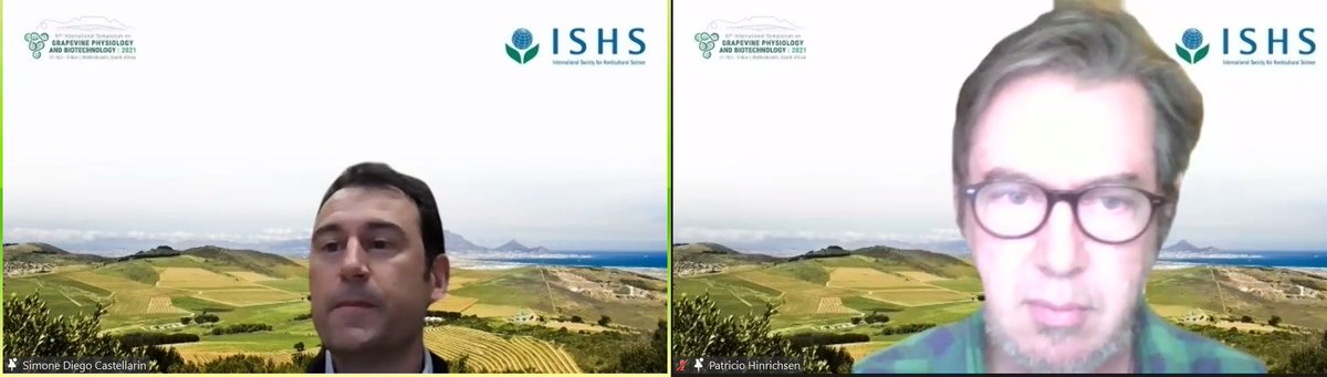 Now on Patricio Hinrichsen (Moderator Simone Diego Castellarin)