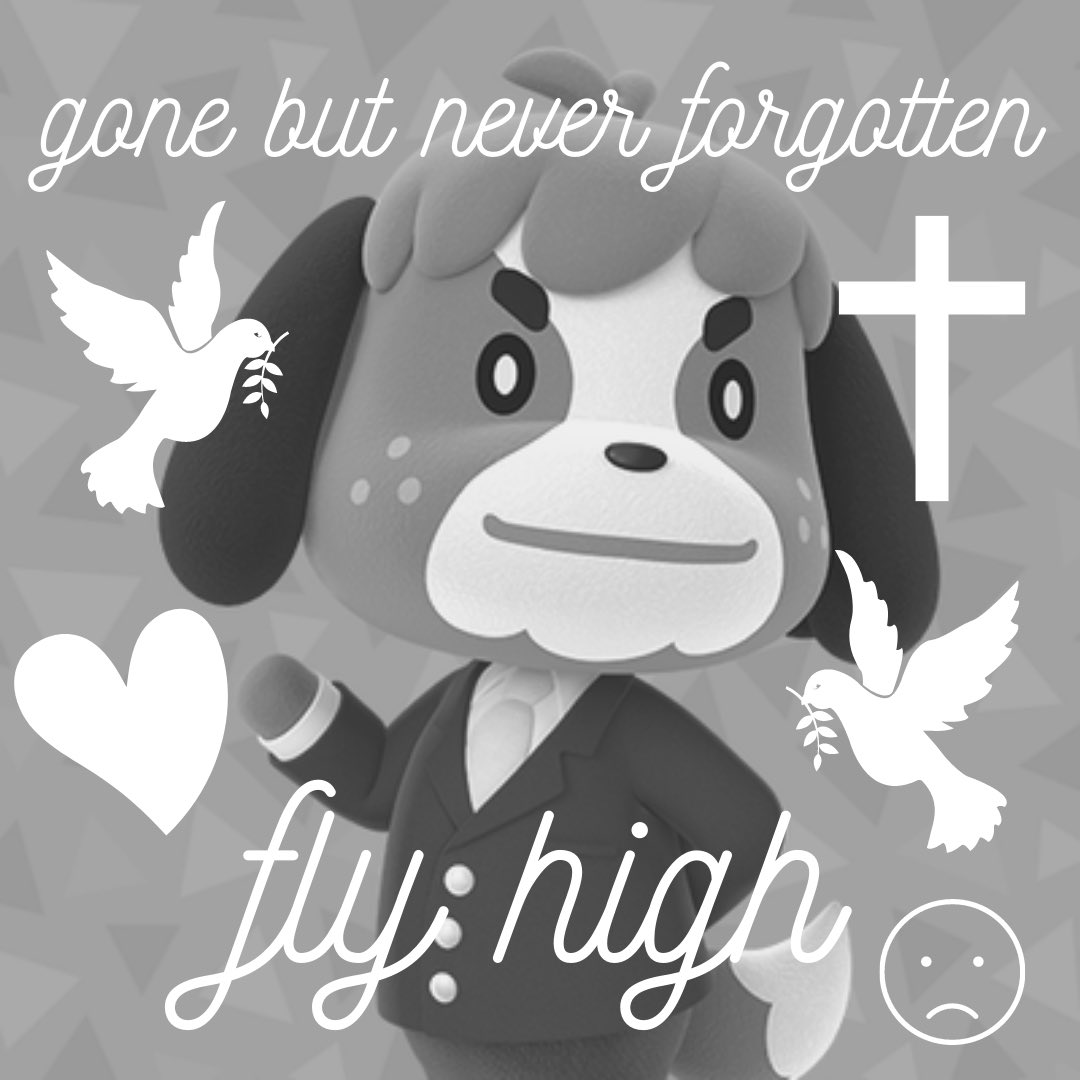 maddie✰ tweet media
