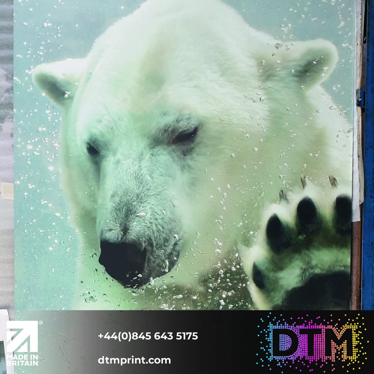 “Cherish the natural world because you're a part of it and you depend on it.” - Sir David Attenborough

Printed onto 3mm aluminium and gloss coated, This is perfect for any shower panel or splash back.

#COP26 #glosscoated #digitalprint #bathrooms #creative #largeformatprint