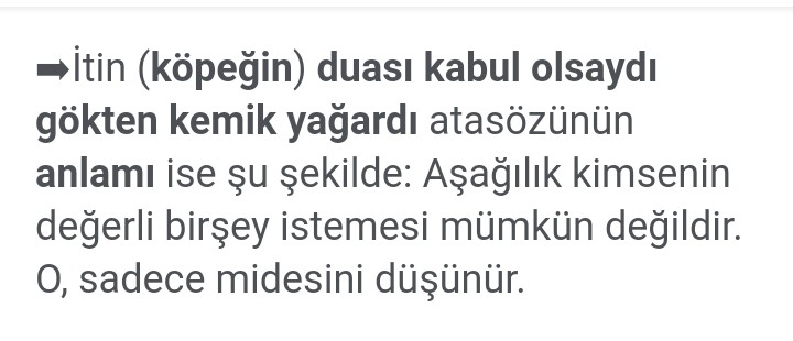 CANANDO18401759's tweet photo. O, sadece midesini düşünür. https://t.co/qdjPgf8bTx