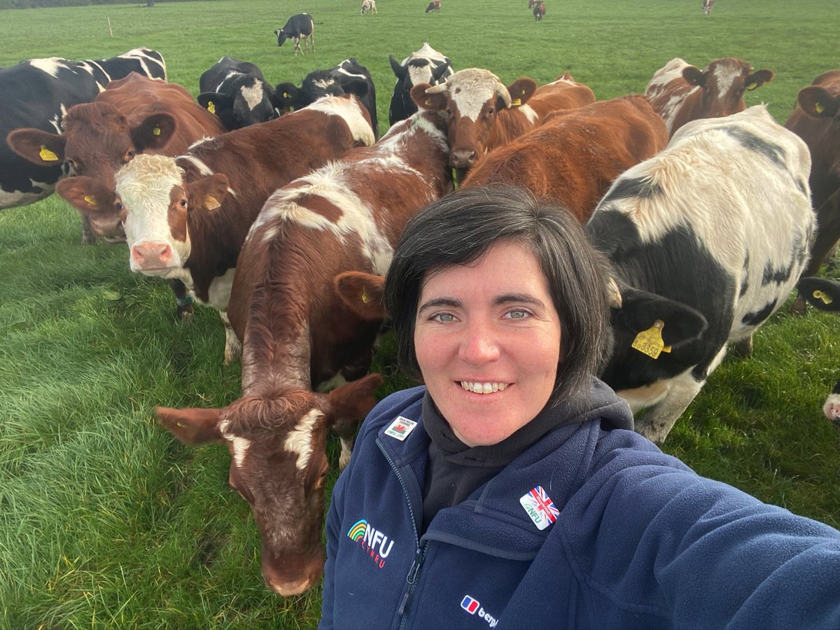 AbiReader's tweet photo. Lot of focus on #carbonfootprint of food at #COP26 

🏴󠁧󠁢󠁷󠁬󠁳󠁿🇬🇧 grasslands act as a huge #carbonsink 
#Grazing animals help ensure these carbon stores are protected. 

As both a source and a sink of emissions 🏴󠁧󠁢󠁷󠁬󠁳󠁿🇬🇧 farmers are uniquely placed to be part of climate change solution https://t.co/2zgPaaFuwV
