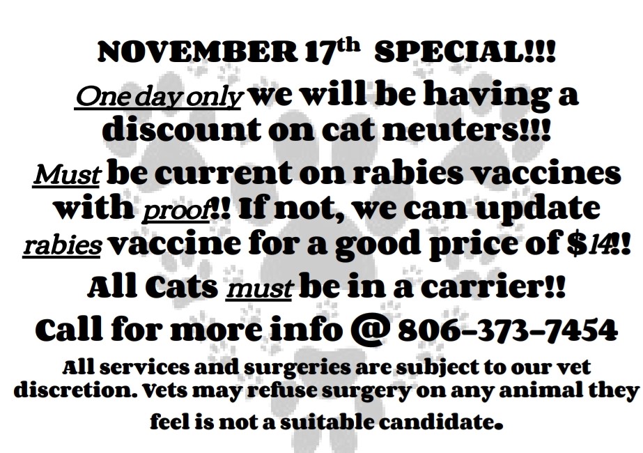 Amarillo Vet Clinic (@amarillovets) on Twitter photo 