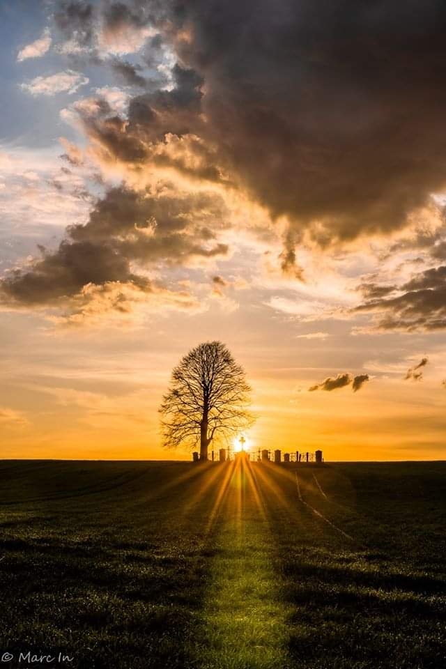 Jarek Gromulski tweet media