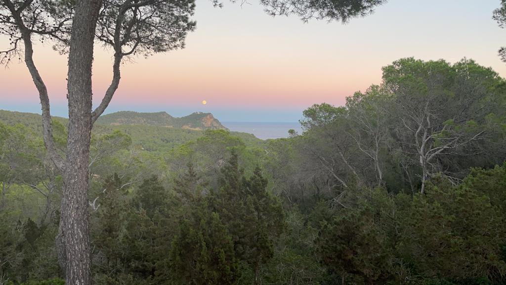 lucykatehill's tweet photo. @StandfieldKen Sending all the moon vibes from Ibiza! https://t.co/BKyqtt0Qqy
