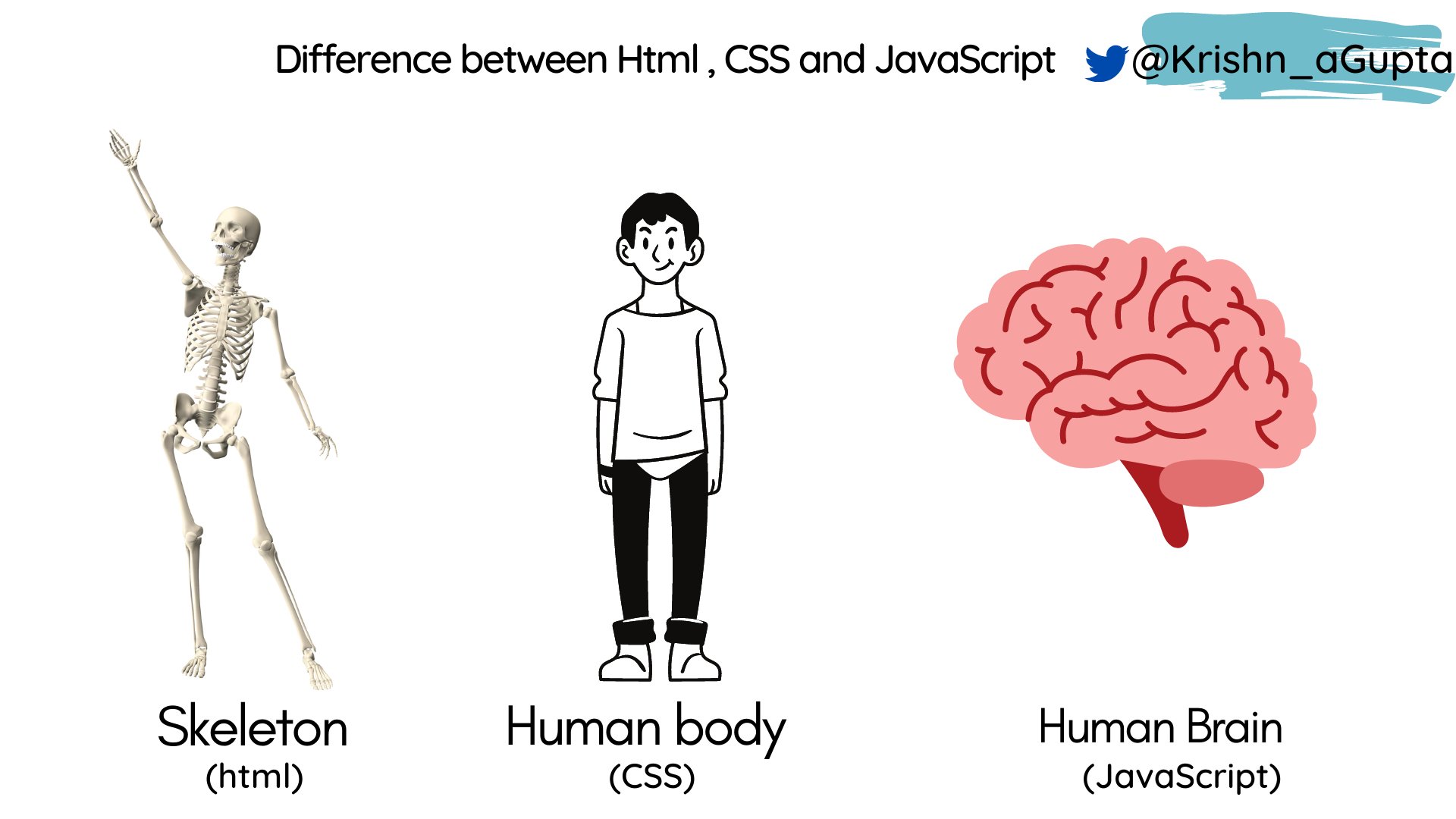 HOW DO HTML, CSS AND JAVASCRIPT WORK TOGETHER?, 48% OFF