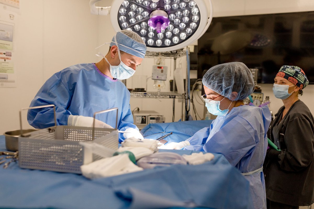 Take a look inside of our operating rooms... Non-veterinary folks are always surprised to find that we have top of the line surgical suites equipped with arthroscopy and fluoroscopy.

Interested in joining a premiere team? Check out accessveterinaryjobs.com for more info.