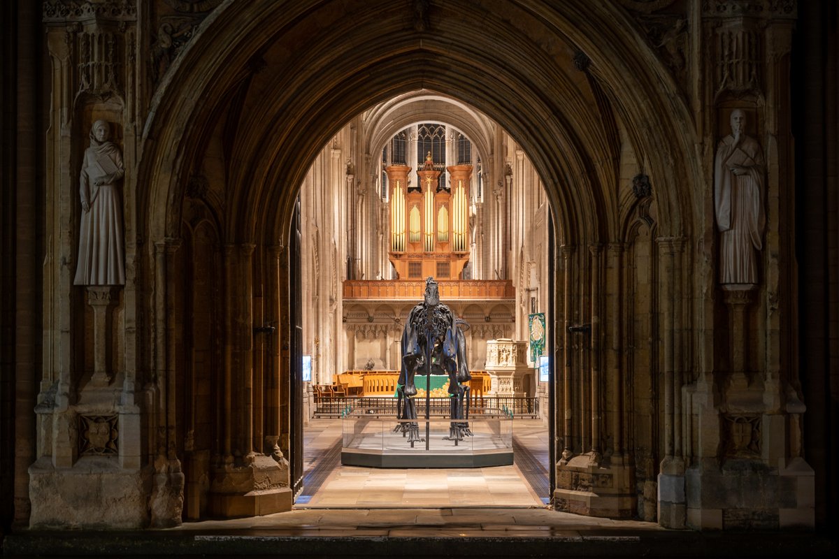 Nrw_Cathedral's tweet photo. After an amazing 16 weeks hosting @DippyOnTour, we said goodbye to our prehistoric friend at a farewell service on Sunday.
Dippy welcomed more than 234,000 visitors during his stay @Nrw_Cathedral - thank you to all who helped make his visit such a success!
https://t.co/HI91DTjh2O https://t.co/0IcVMQEmDj