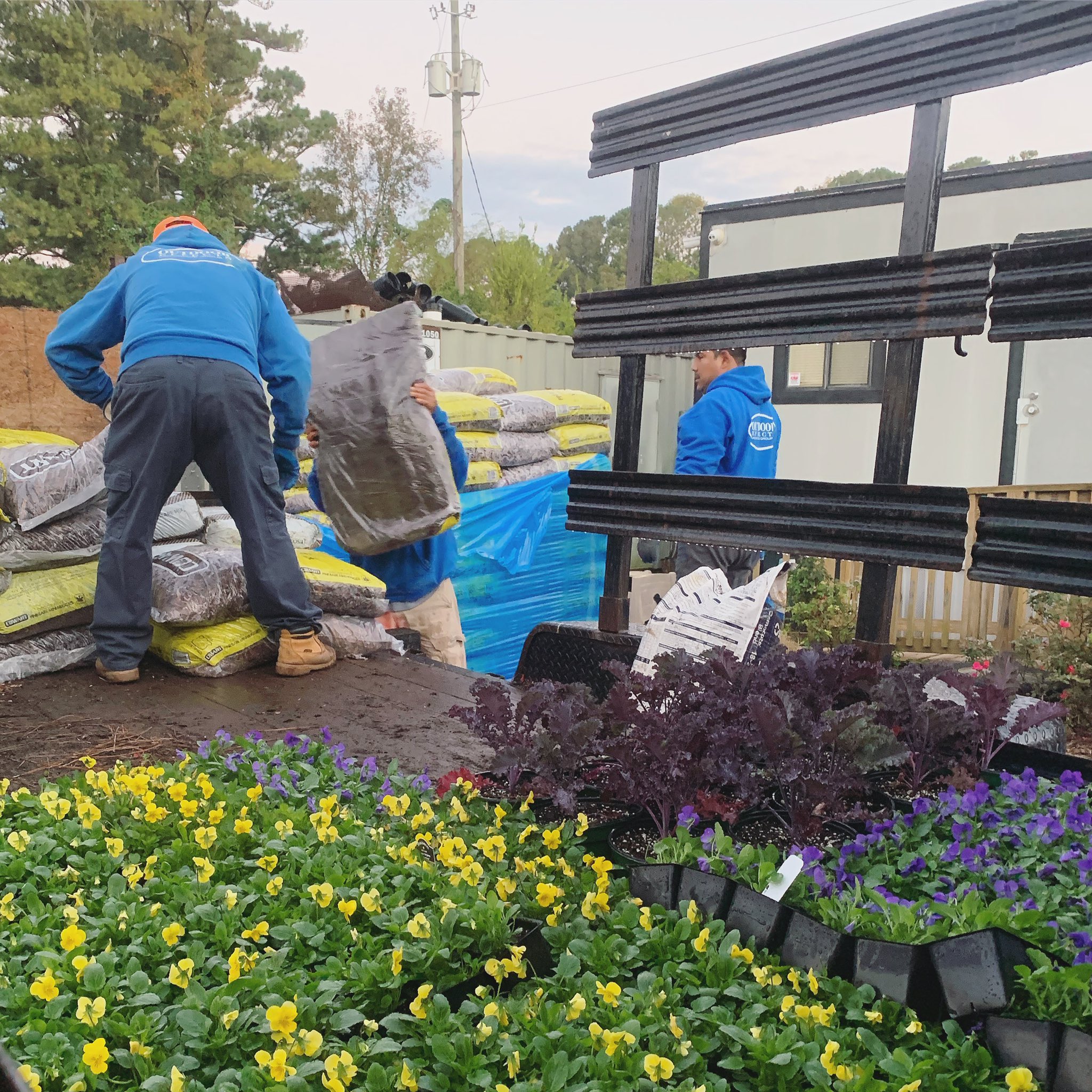 Outdoor Effects Landscape on Twitter "It’s annuals time! Guys are