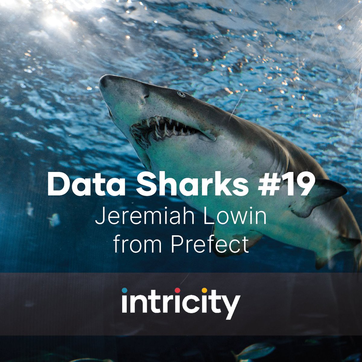 IntricityLLC's tweet photo. Join us live this Friday at 12 pm eastern as we discuss Prefect's new product release with their CEO and Founder Jeremiah Lowin. Watch it live here (be sure to like and follow) or on our Intricity101 YouTube channel. https://t.co/a7l3xqC0hw
#intricity #prefect #datasharks #data https://t.co/oVXgKBf5GP