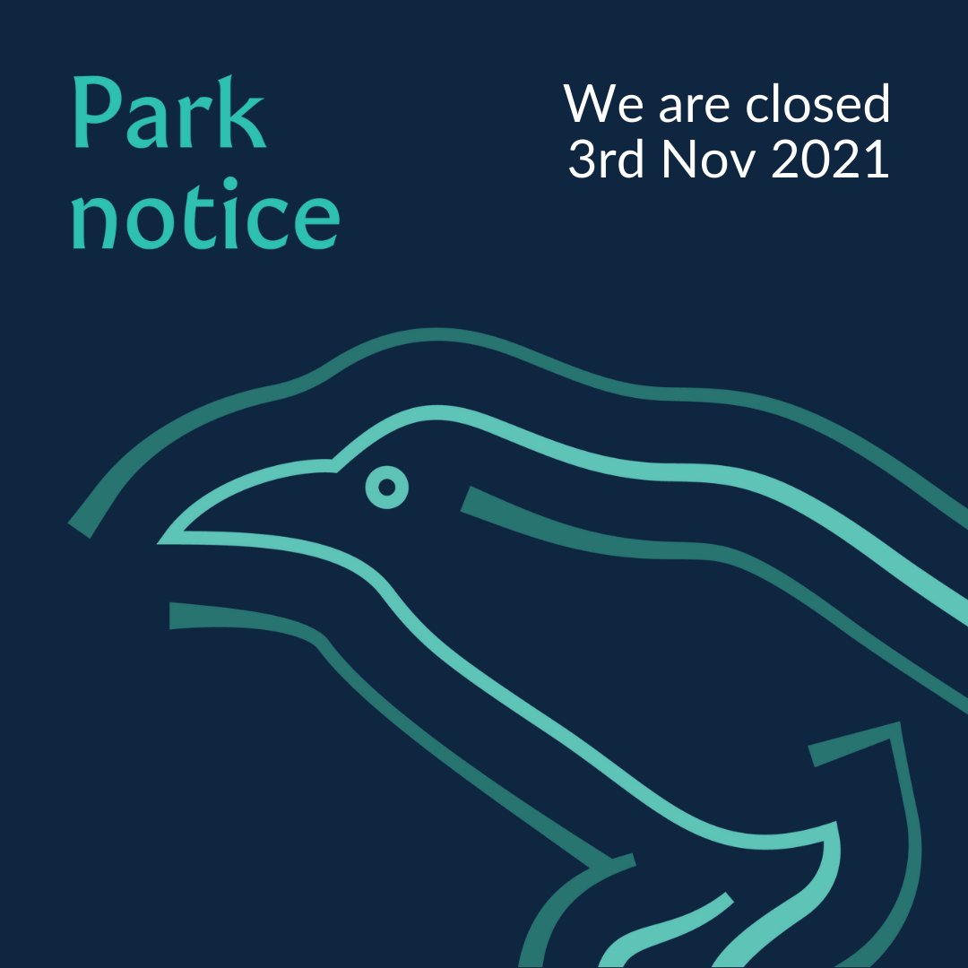 Connemara National Park tweet media