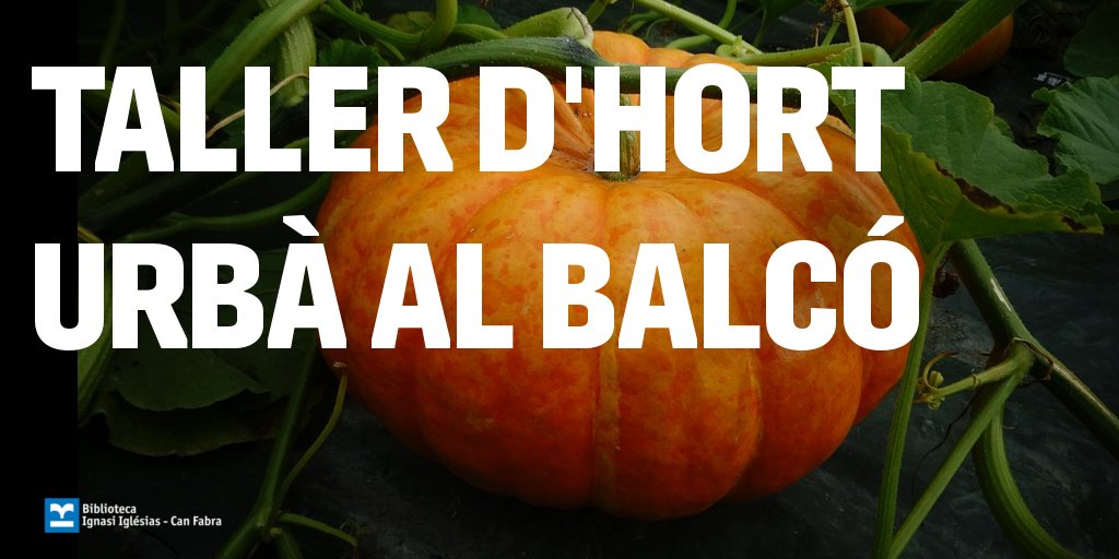 🥬Taller d'hort urbà al balcó🥦
🗓️Dimecres 10 de novembre
⌚️18.30 h
Taller pràctic d’horticultura urbana per aprendre a sembrar, trasplantar i cuidar les teves hortalisses en espais reduïts
A càrrec d’<a href="/pagesosdeciutat/">Pagesos De Ciutat</a>, horticultora urbana i autora de “Pagesos de ciutat”