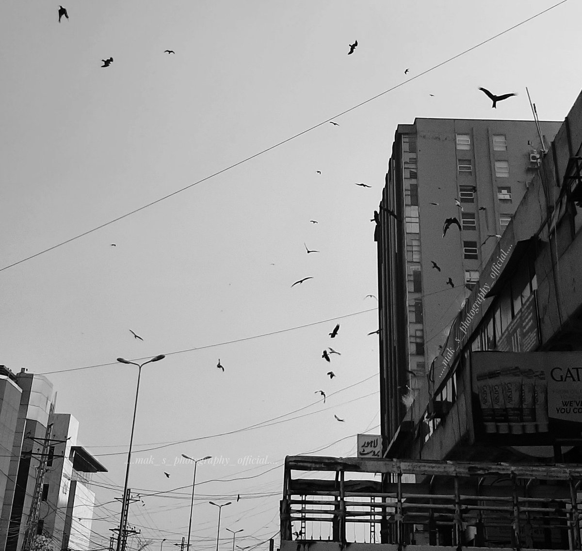 MAKPHOTOGRAPHY2's tweet photo. #SamsungA50
#nature #naturelover #naturephotography #travel #travellingphotography #travelblogger #blogger #street #streetphotography #streetlights #streetwire #building #birds #flying #building #buinesshub #blacknwhite #mainbulevard #art #design #artist #architecture https://t.co/3jGqsuZcY2