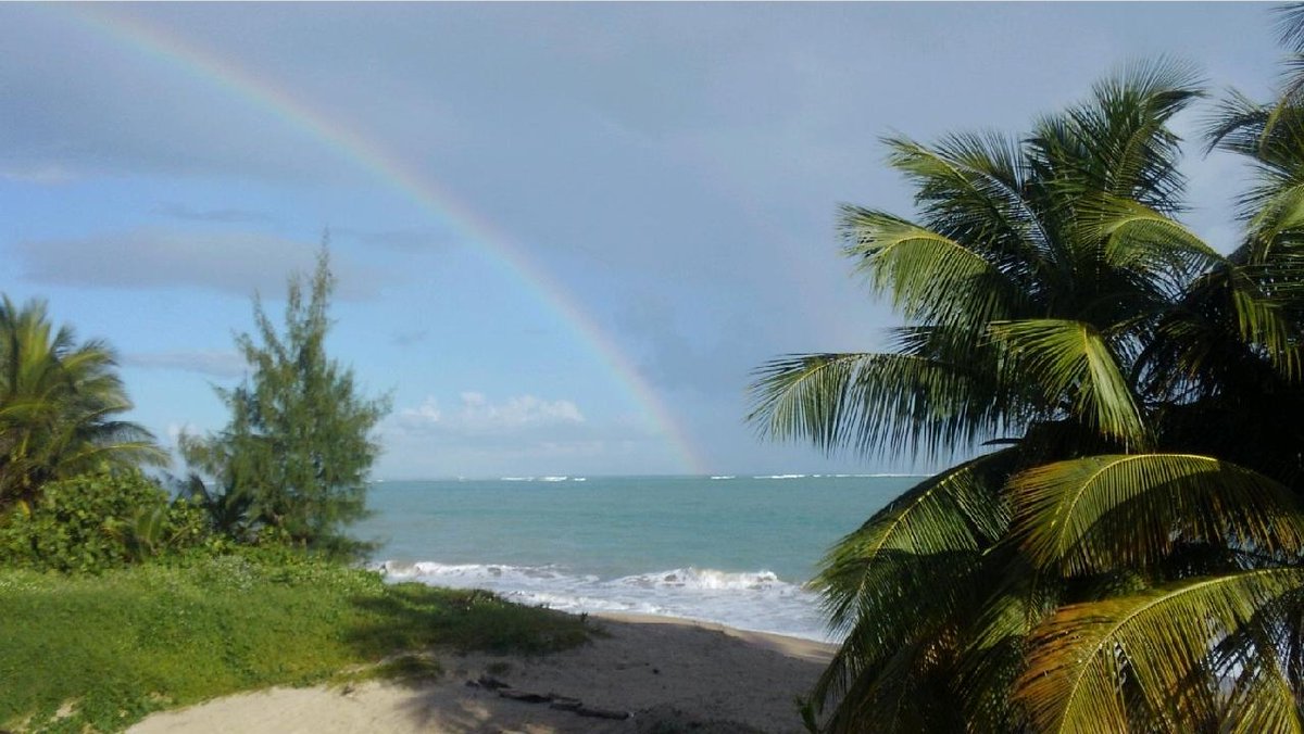 jillern's tweet photo. The island is waiting for you.  #ashe2021 https://t.co/2vj9fBr8sw