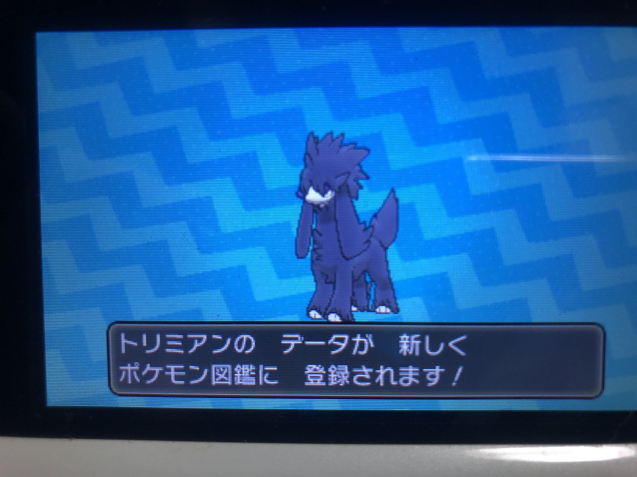 いと Usum 色違い図鑑 Inoito3 Twitter
