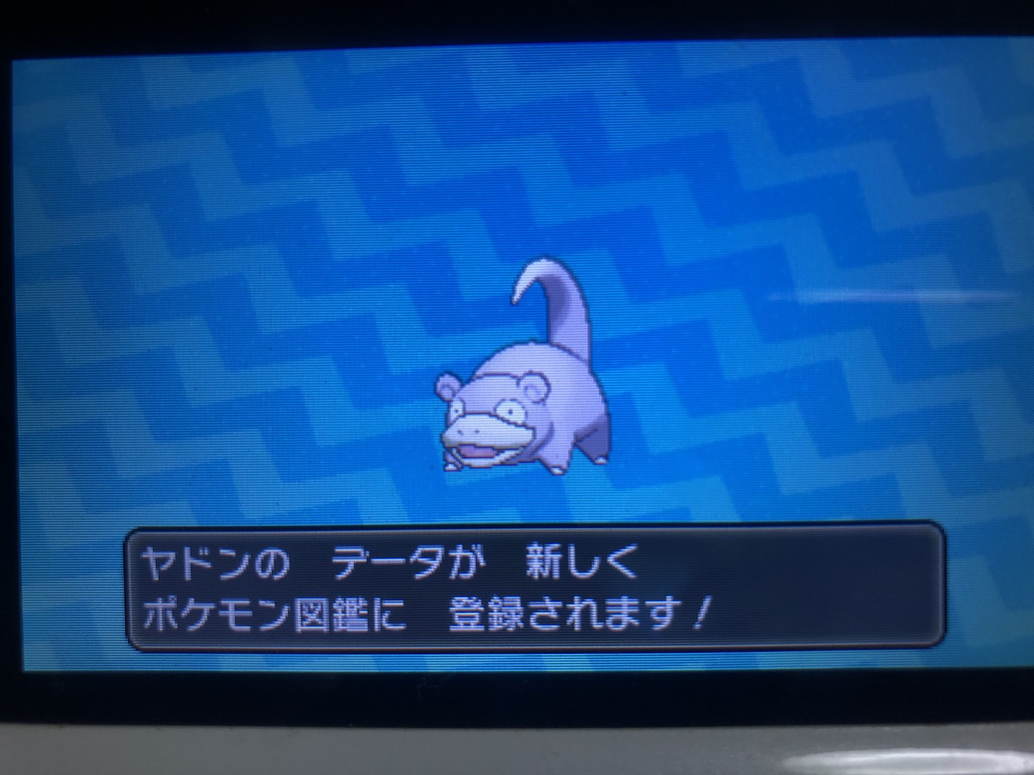 いと Usum 色違い図鑑 Inoito3 Twitter