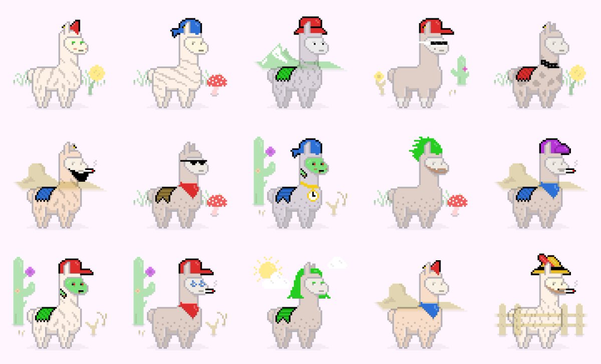IAMSAVAGECEO's tweet photo. GM #Solana 

@SollamasNFT are STAMPEDING into the NEW 2nd ERA!🦙💨🦙💨🦙💨

- CORE TEAM ACTIVE ✅
- Social Presence Boost 🔥
- Ghosts Llamas Updated (72H) ✅
- DAO Initiated ✅
- Supply 8,888 ✅
- Breeding Verified ✅
- Merch Storefront Incoming @its_vega_17
- More 👀

PEEP IT👇 https://t.co/tWYBoJkLsY