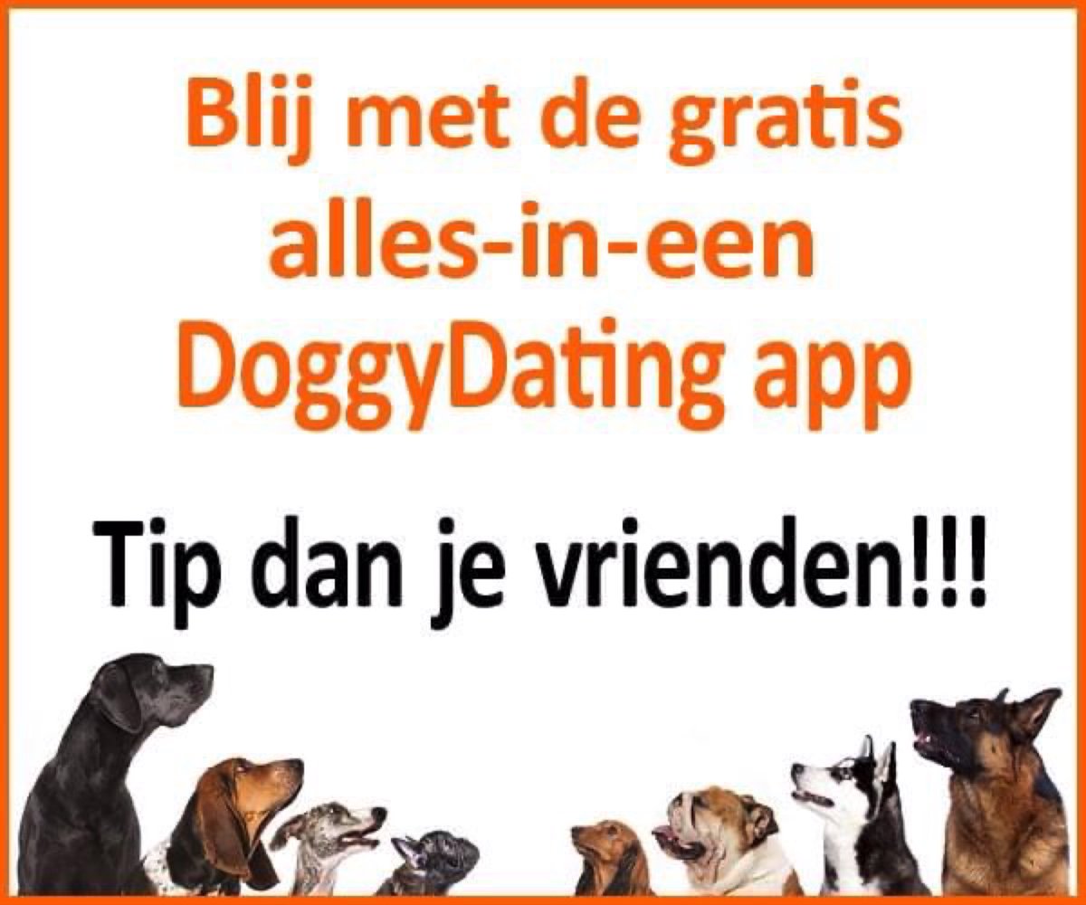 Blij met de alle-in-een DoggyDating app, tip dan je vrienden! Want hoe meer baasjes de app gebruiken, hoe meer honden we blij kunnen maken met fijne hondenwandelingen in losloopgebieden 😀😀😀
doggydating.com/app-informatie

Sharing is caring! 👍🙏