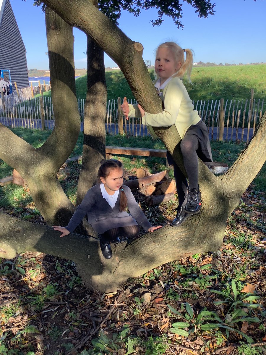 Some of RJ got to visit #forestschool today!
This group had some very keen bug hunters. We found spiders, centipedes, worms and ladybirds! 
We also had some expert tree climbers, all learning to manage their own risk and problem solve whilst thinking about staying safe.