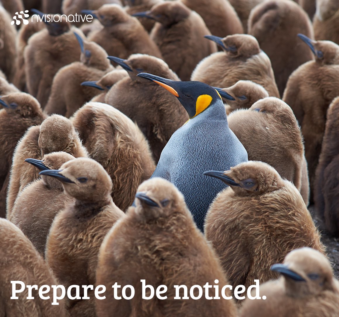 nvisionative's tweet photo. In today’s marketplace, your brand’s voice matters more than ever. We strive to ensure your business gets the attention it deserves.
#nvisionative #branding #creativemarketing #copywriting #contentstrategy #penguins #standoutinacrowd #messagingmatters #graphicdesign https://t.co/qSdWxmlNKL