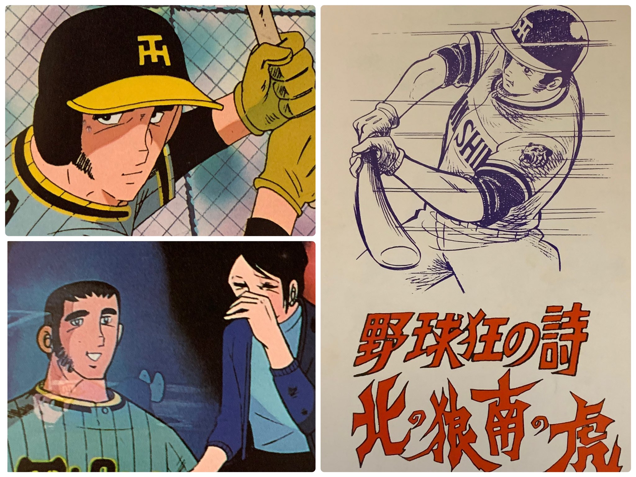 選べる2個セット 最終値下げ 早い者勝ち 北の狼 南の虎 VHS 野球狂の