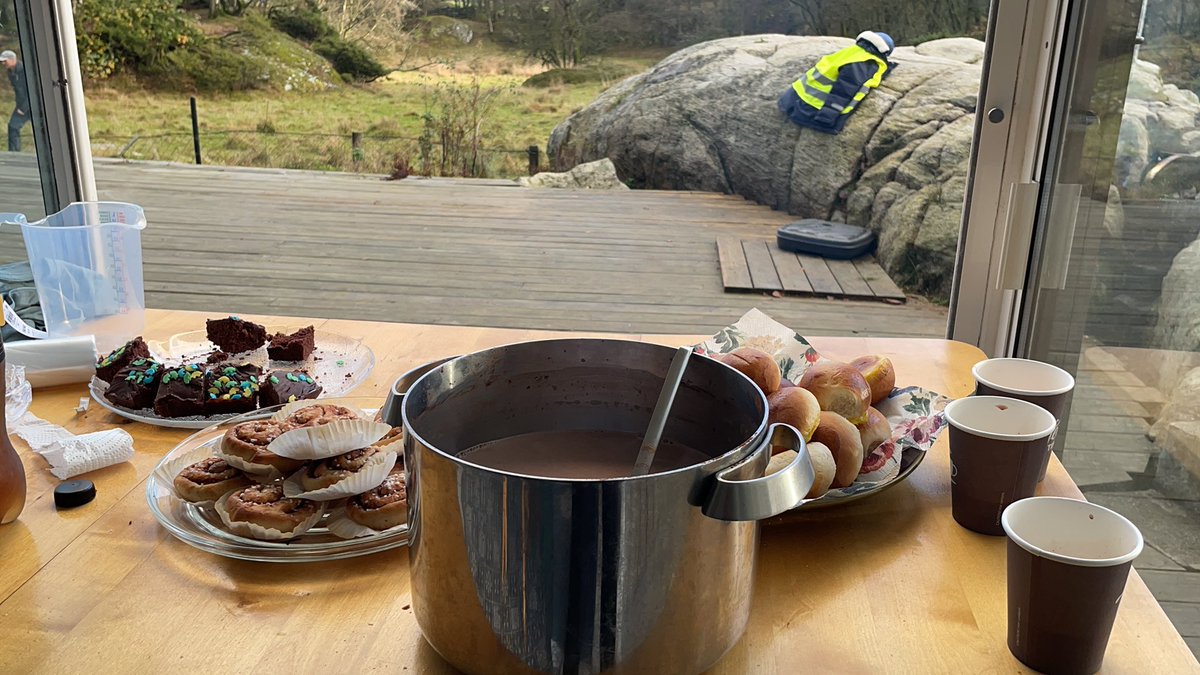36meling's tweet photo. 40 pølser, boller, kanelboller, sjokoladekake, brus, saft og kakao senere…#bursdagsfesr #8år #utebursdag 🥳 https://t.co/leuyM6xAoA