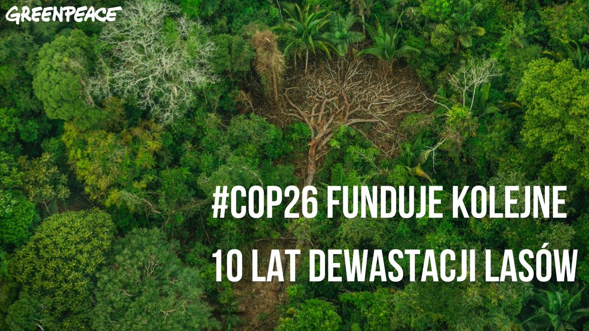Greenpeace_PL's tweet photo. Kolejne 10 lat dewastacji - tak wygląda podpisane podczas #COP26 porozumienie ws. lasów. W tym samym miejscu byliśmy już w 2014, kiedy podpisano deklarację w NY, która zupełnie nie zmniejszyła wylesiania. Obecne porozumienie to puste słowa i porażka. https://t.co/lrqwx4slg0