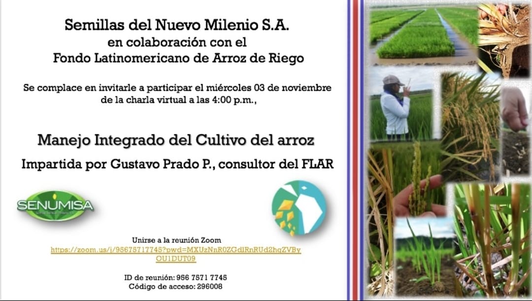 FLAR🌾🍚 tweet media