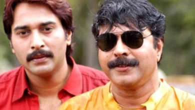 rajamanikyam gross collection by producers rajamanikyam gross collection by producers