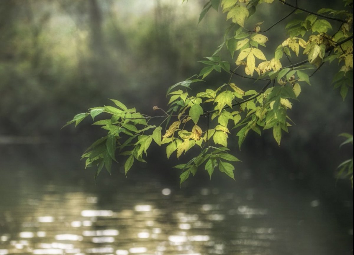 RAEX-Europe has published an updated #ESG-ranking of #Russian companies. #SegezhaGroup is leading among forest industry companies &amp; ranks 38th on the list of the 150 most environmentally responsible Russian business entities publishing non-financial reports in accordance with GRI